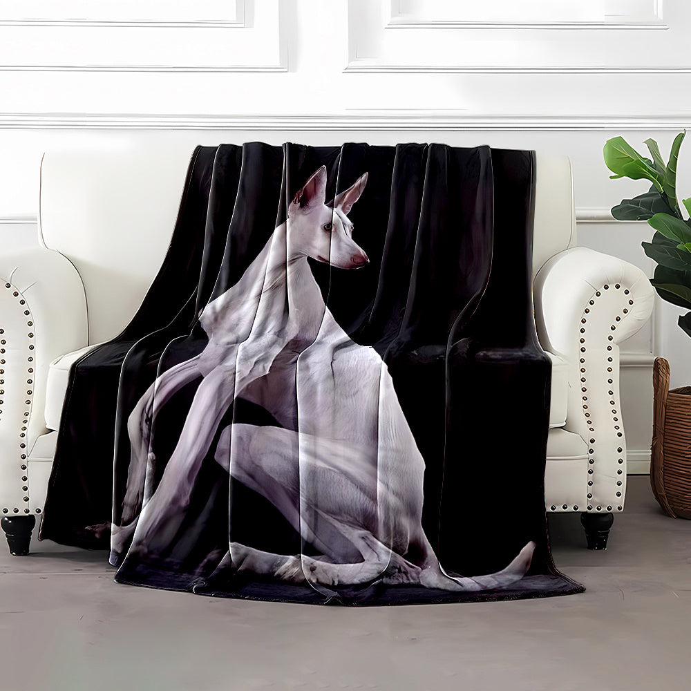 1pc 2D Flat Printing, Black White Gray Hound Pattern Blanket, Soft Fleece Blanket - Black And White Design, Multiple Sizes Available, Suitable for Living Room Sofa, Bedroom, Reading Corner, Leisure Time, And Home Decor