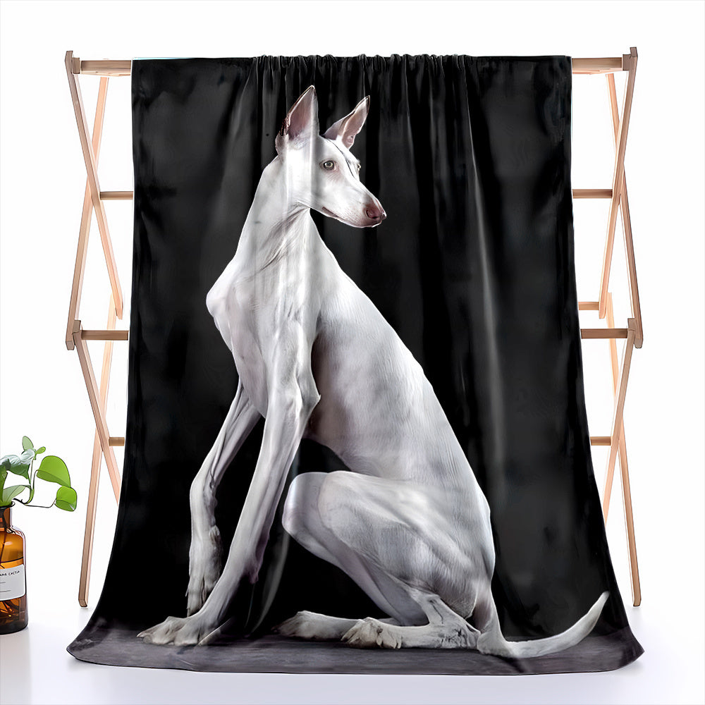 1pc 2D Flat Printing, Black White Gray Hound Pattern Blanket, Soft Fleece Blanket - Black And White Design, Multiple Sizes Available, Suitable for Living Room Sofa, Bedroom, Reading Corner, Leisure Time, And Home Decor