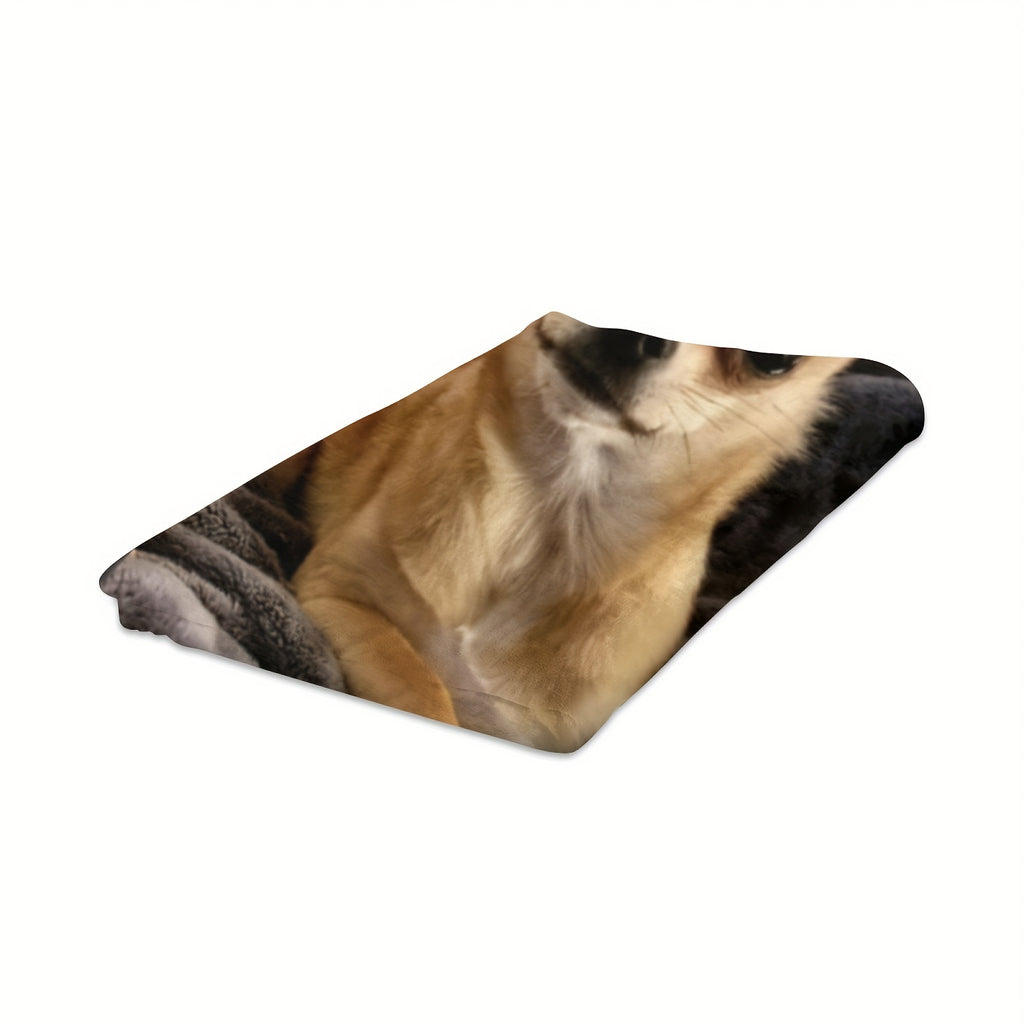 1pc Vintage Style Chihuahua Dog Print Flannel Blanket - Soft Warm All-Season Throw with Multi-Color Animal Design, Hand Wash Only for Couch Sofa Bed Office Camping Travel, Cozy Home Decor Gift, Dog Blanket, Durable Fabric, Pet Owners